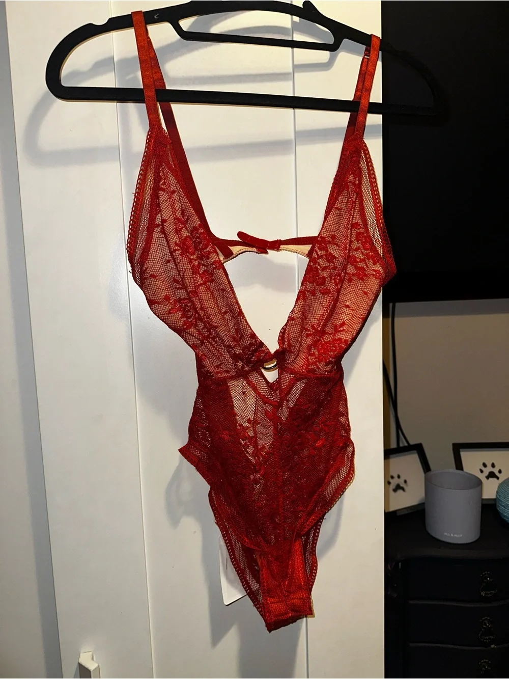 NWT Free People Rust Lace Bodysuit